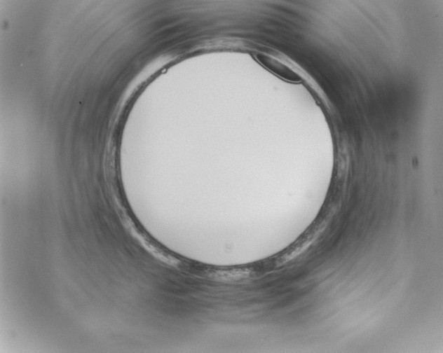 X0000070831053200607142336