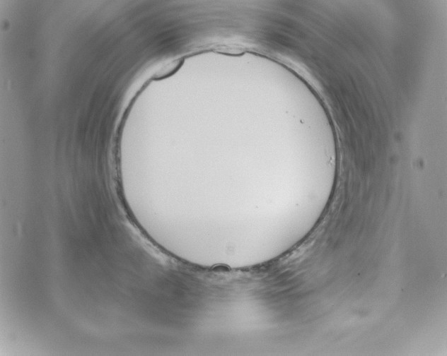 X0000070831056200607142336