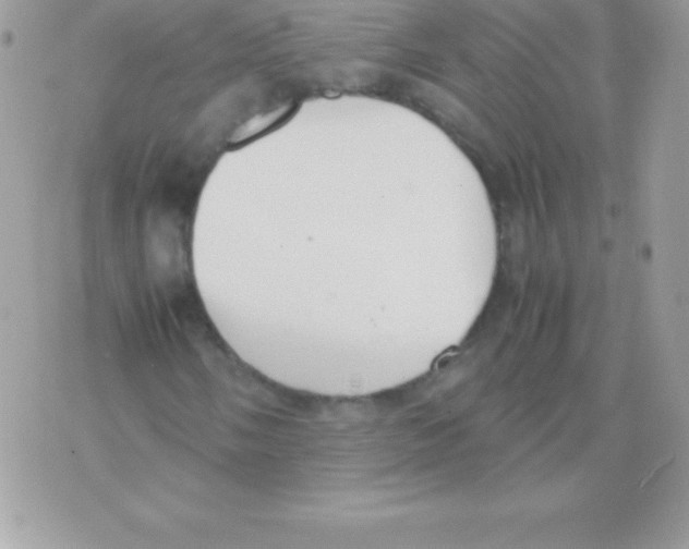 X0000070831058200607142335