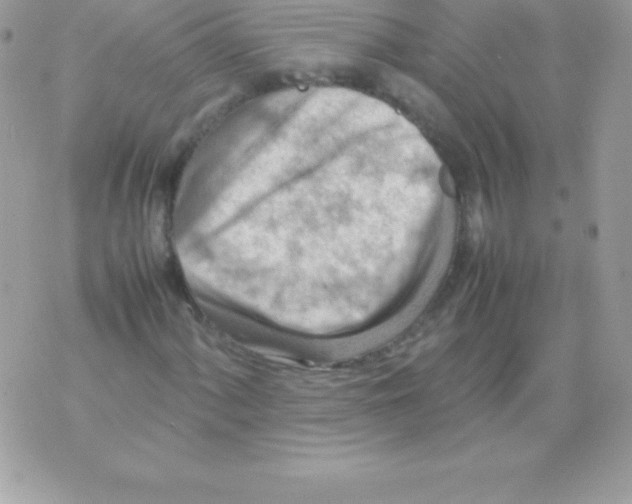 X0000070831060200607142335