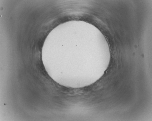 X0000070831061200607142335