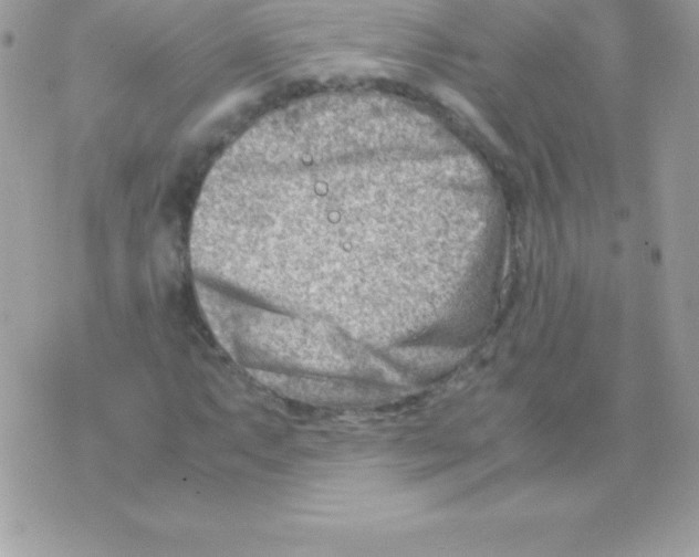 X0000070831063200607142335