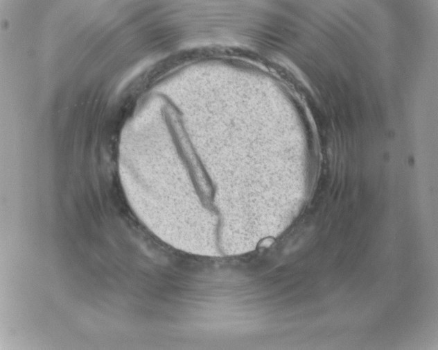 X0000070831064200607142335