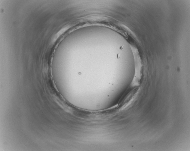 X0000070831065200607142335