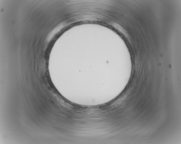 X0000070831067200607142335