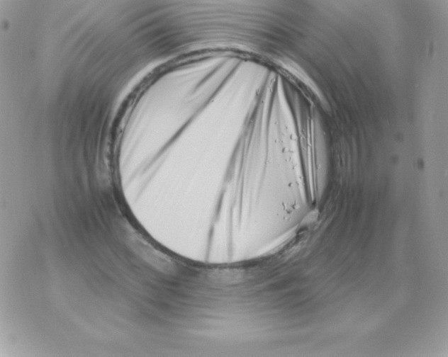 X0000070831068200607142335