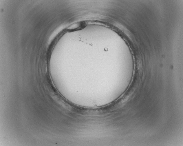 X0000070831069200607142335