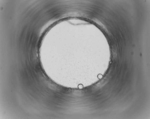 X0000070831070200607142335