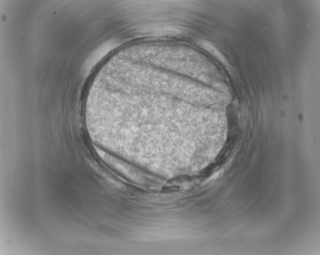 X0000070831071200607142335