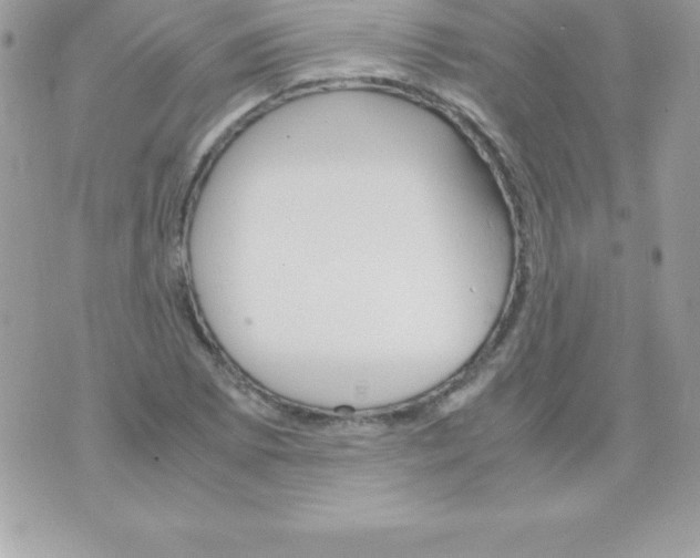 X0000070831073200607142335