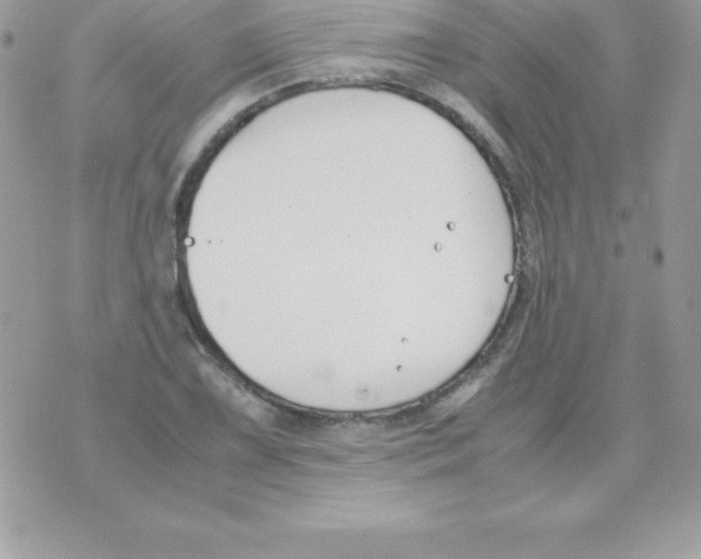 X0000070831075200607142335