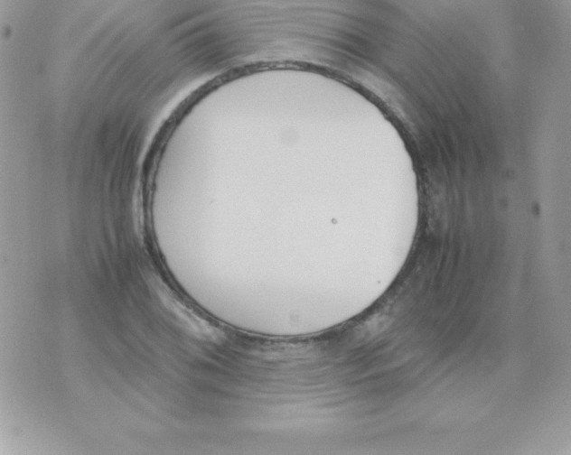 X0000070831076200607142335