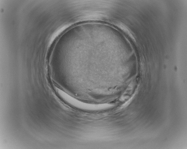 X0000070831077200607142335