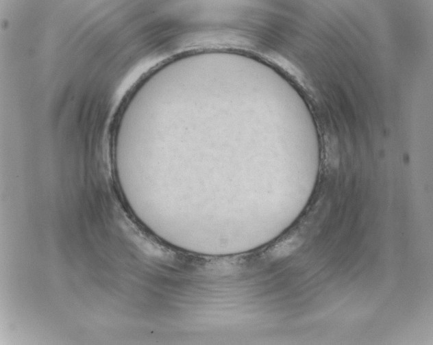 X0000070831078200607142335