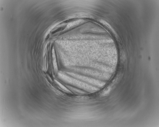 X0000070831081200607142335