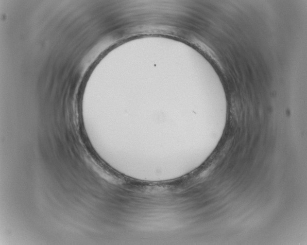 X0000070831082200607142335