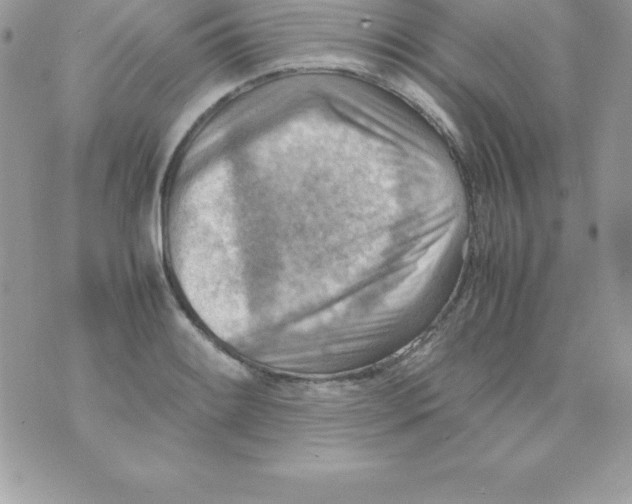 X0000070831084200607142335