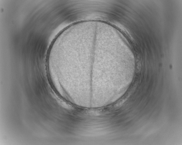 X0000070831086200607142335