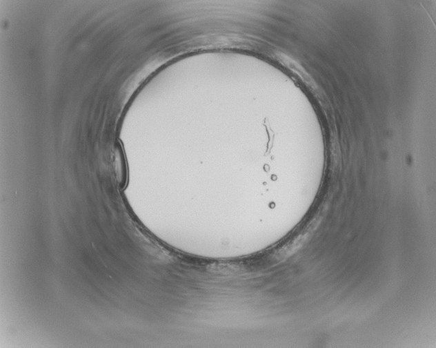 X0000070831089200607142335