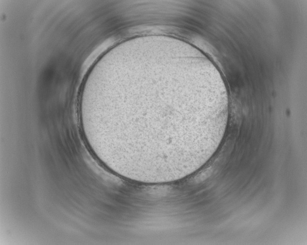 X0000070831090200607142335