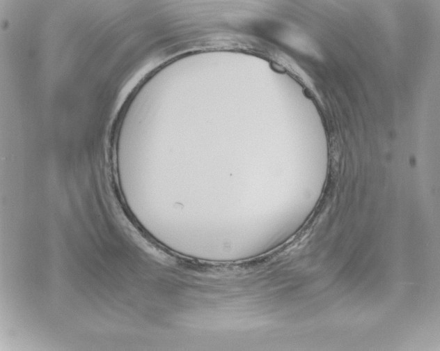 X0000070831091200607142335