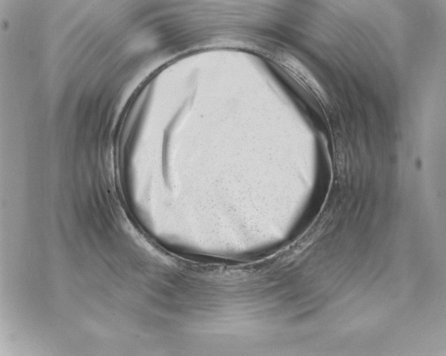 X0000070831092200607142335