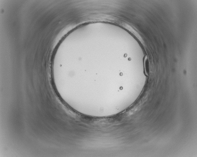 X0000070831093200607142335