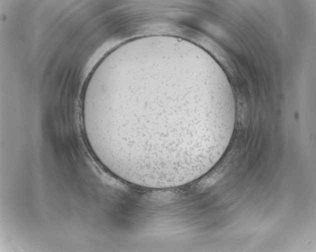 X0000070831094200607142335