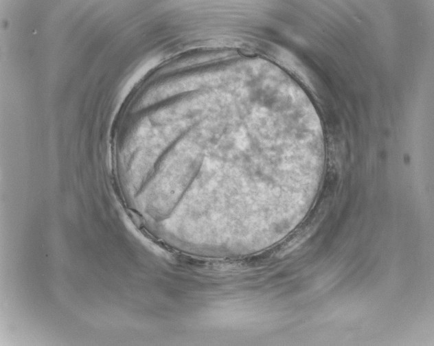 X0000070831095200607142335