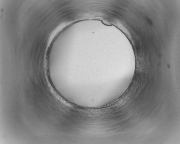 X0000070831096200607142335