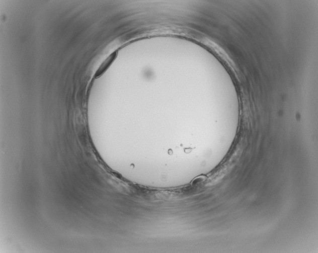 X0000070831097200607142335