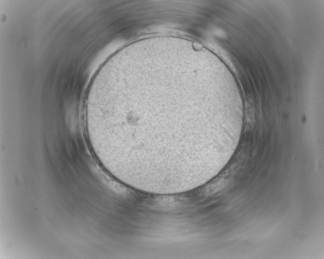 X0000070831098200607142334