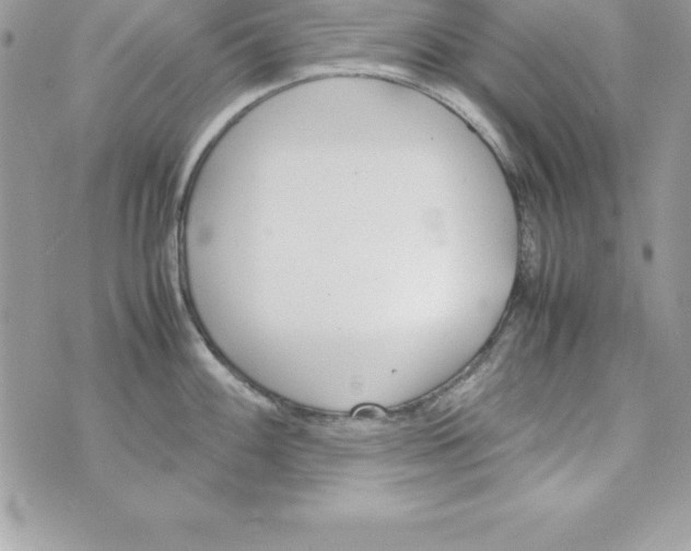 X0000070831100200607142334