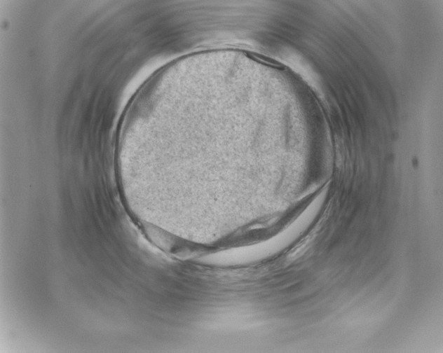 X0000070831102200607142334