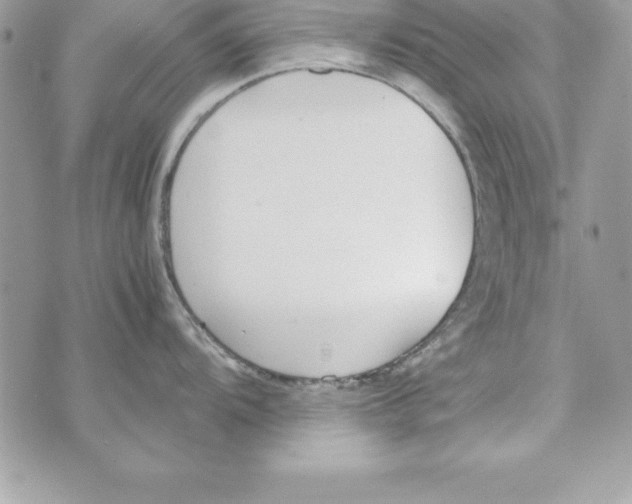 X0000070831104200607142334