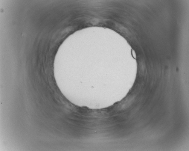 X0000070831105200607142334