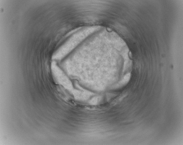 X0000070831106200607142334