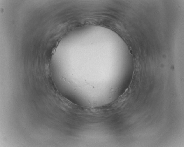 X0000070831109200607142334