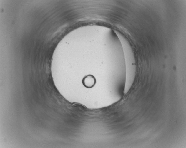 X0000070831110200607142334