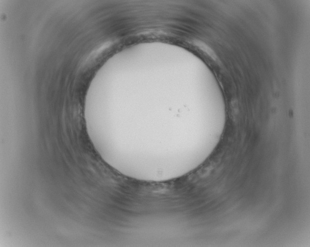 X0000070831111200607142334