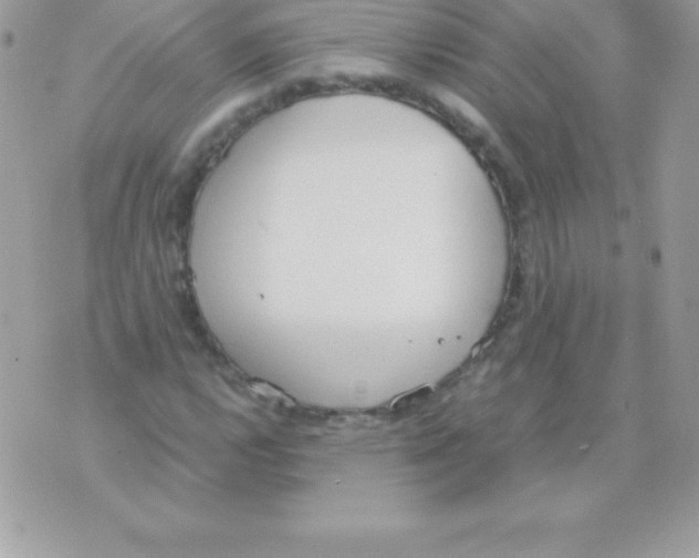 X0000070831112200607142334