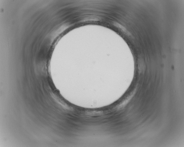 X0000070831113200607142334