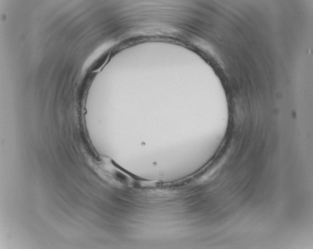 X0000070831114200607142334