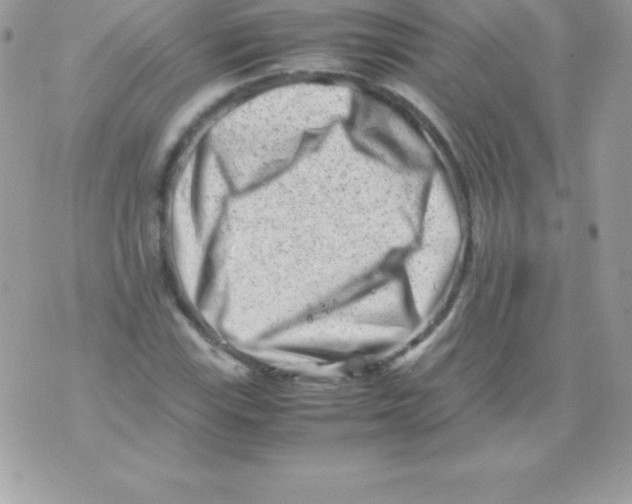 X0000070831115200607142334