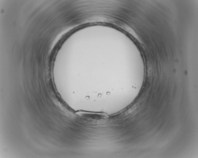 X0000070831116200607142334