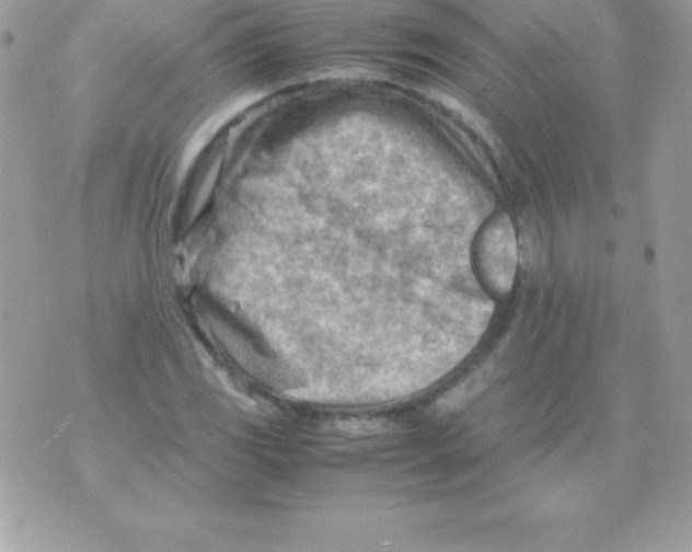 X0000070831117200607142334