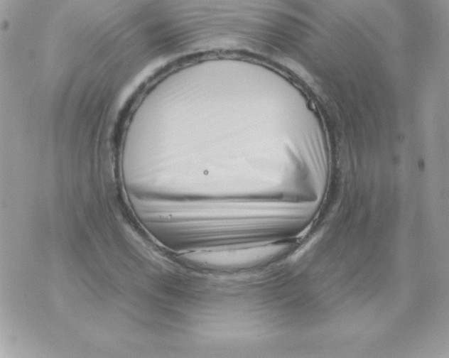 X0000070831118200607142334