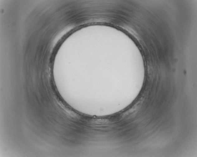 X0000070831119200607142334