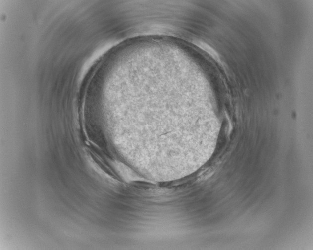 X0000070831120200607142334