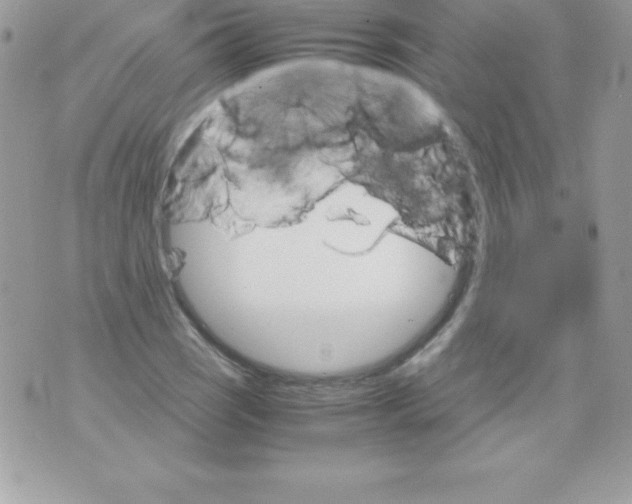 X0000070831121200607142334